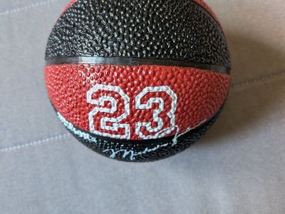 michael jordan