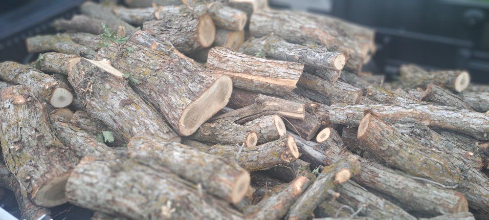 Oak Hardwood Firewood Rounds