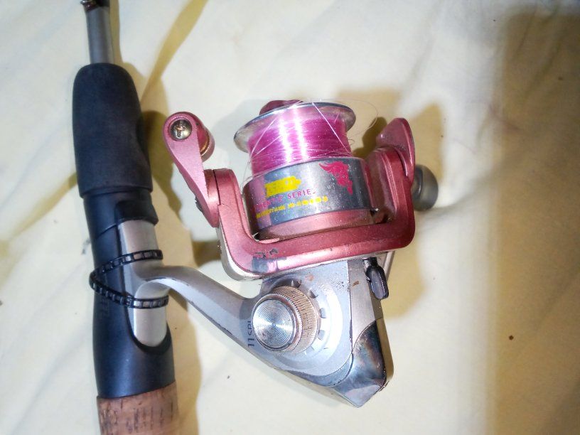 fishing poles and reels