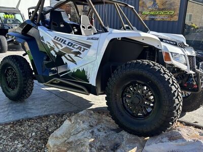 2025 Arctic Cat Wildcat XX