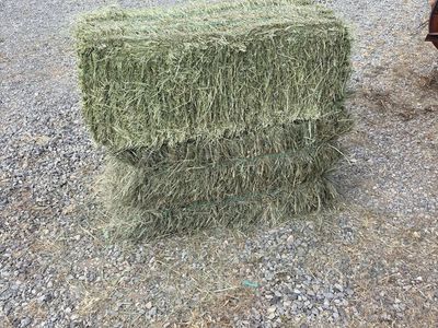 Grass/alfalfa mix hay