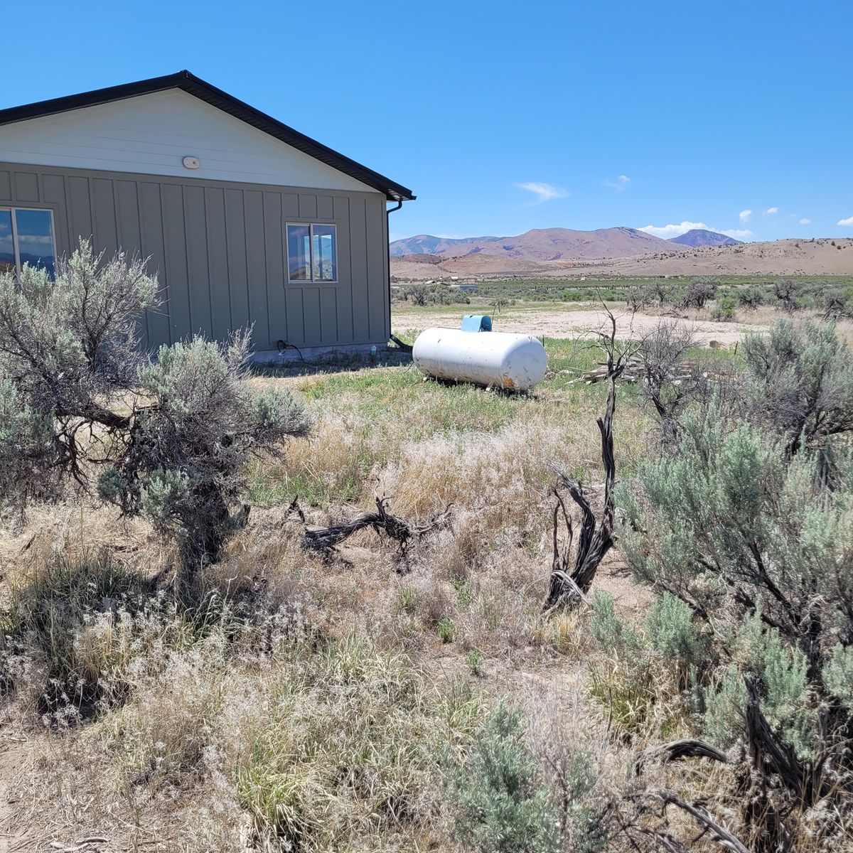 Main image 11
