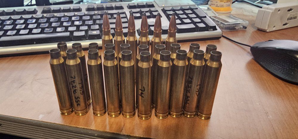 Nosler 300 WIN Bullets and Brass