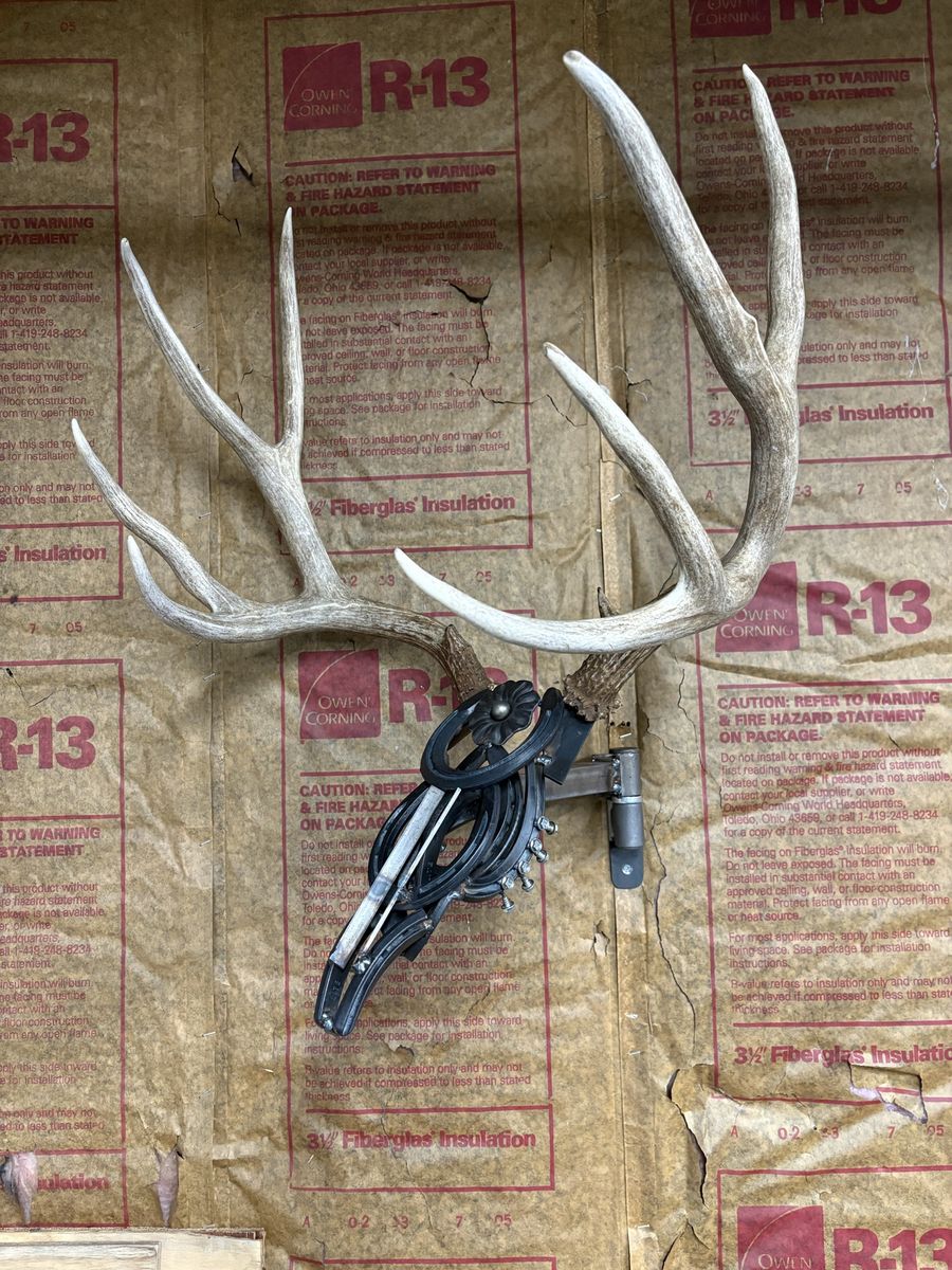 Pivoting horseshoe deer head
