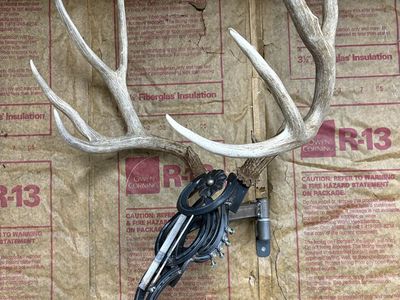 Pivoting horseshoe deer head