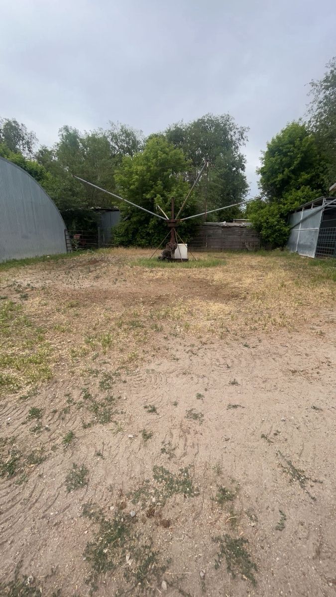 4 Horse Walker