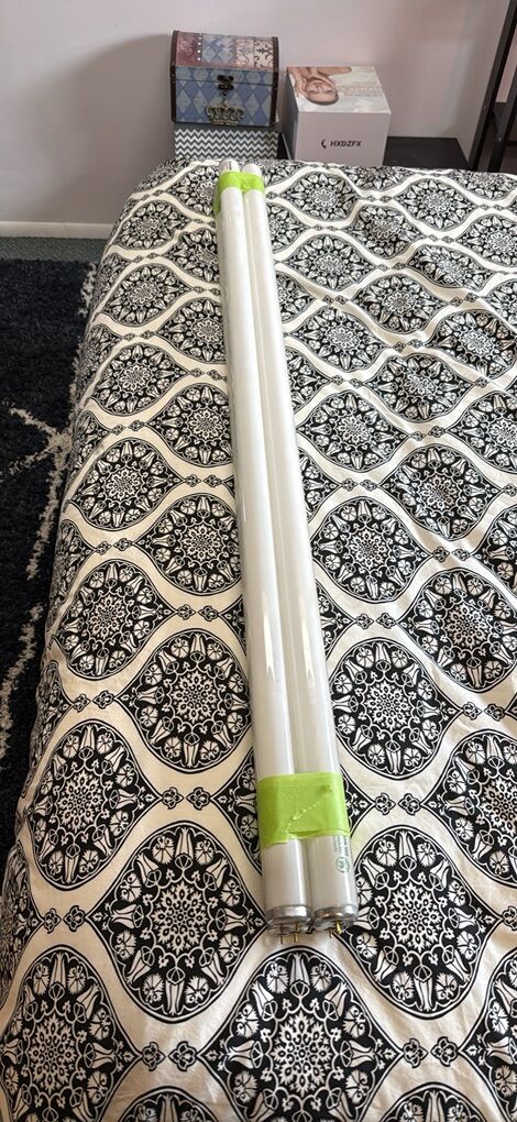 4ft Flourescent light Bulbs