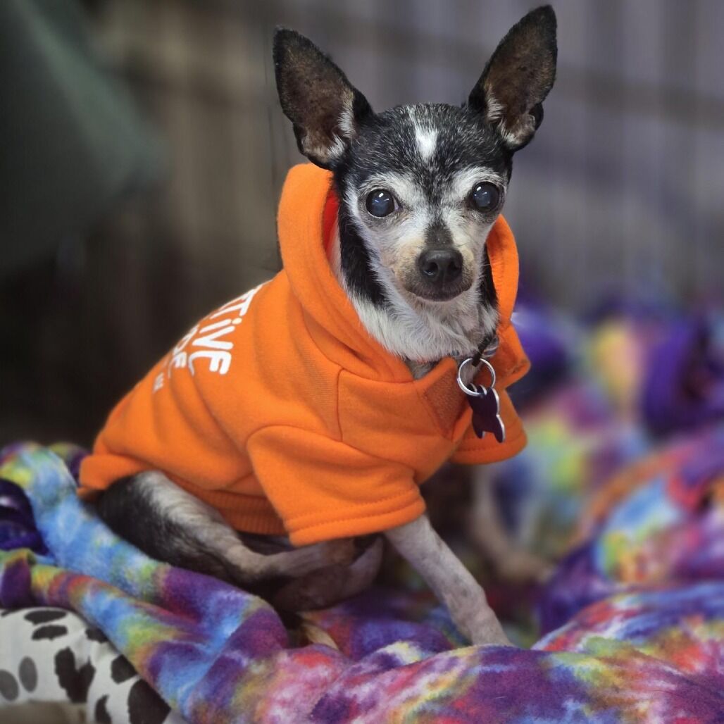 Hello my name is Lois