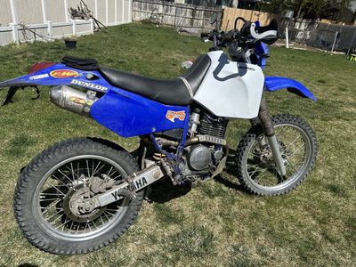2001 Ttr 250