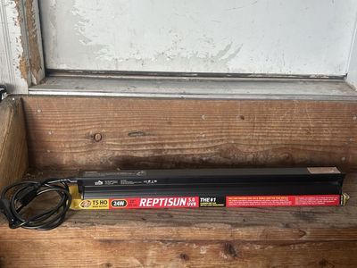 Reptile UVB