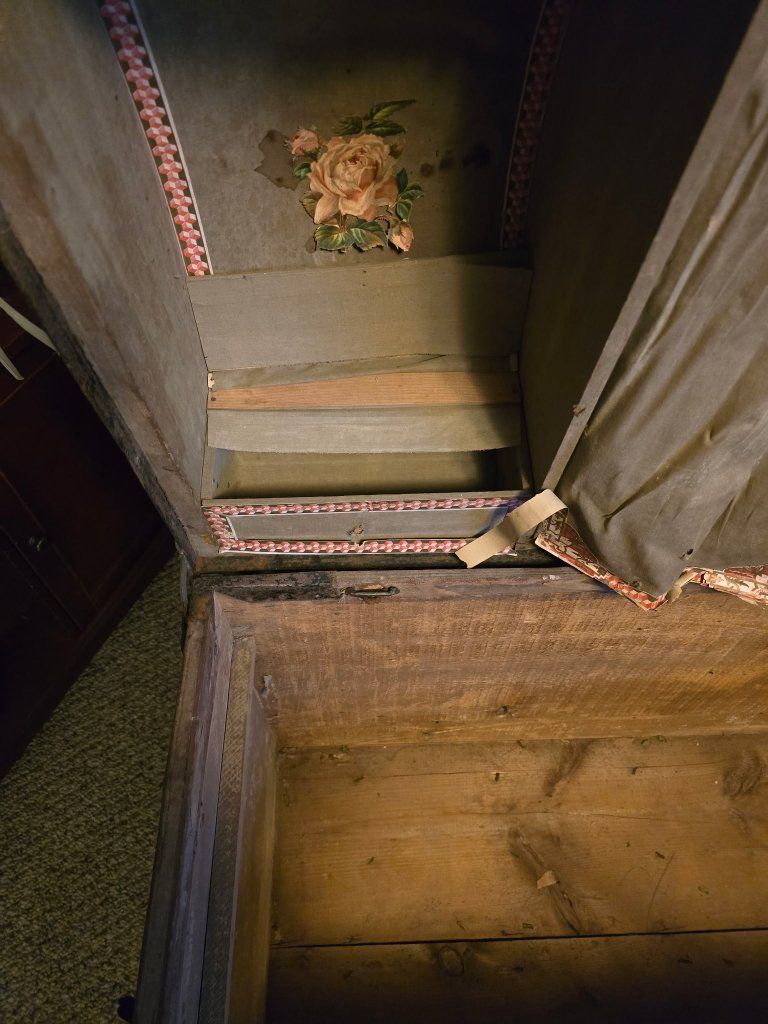 Main image 5