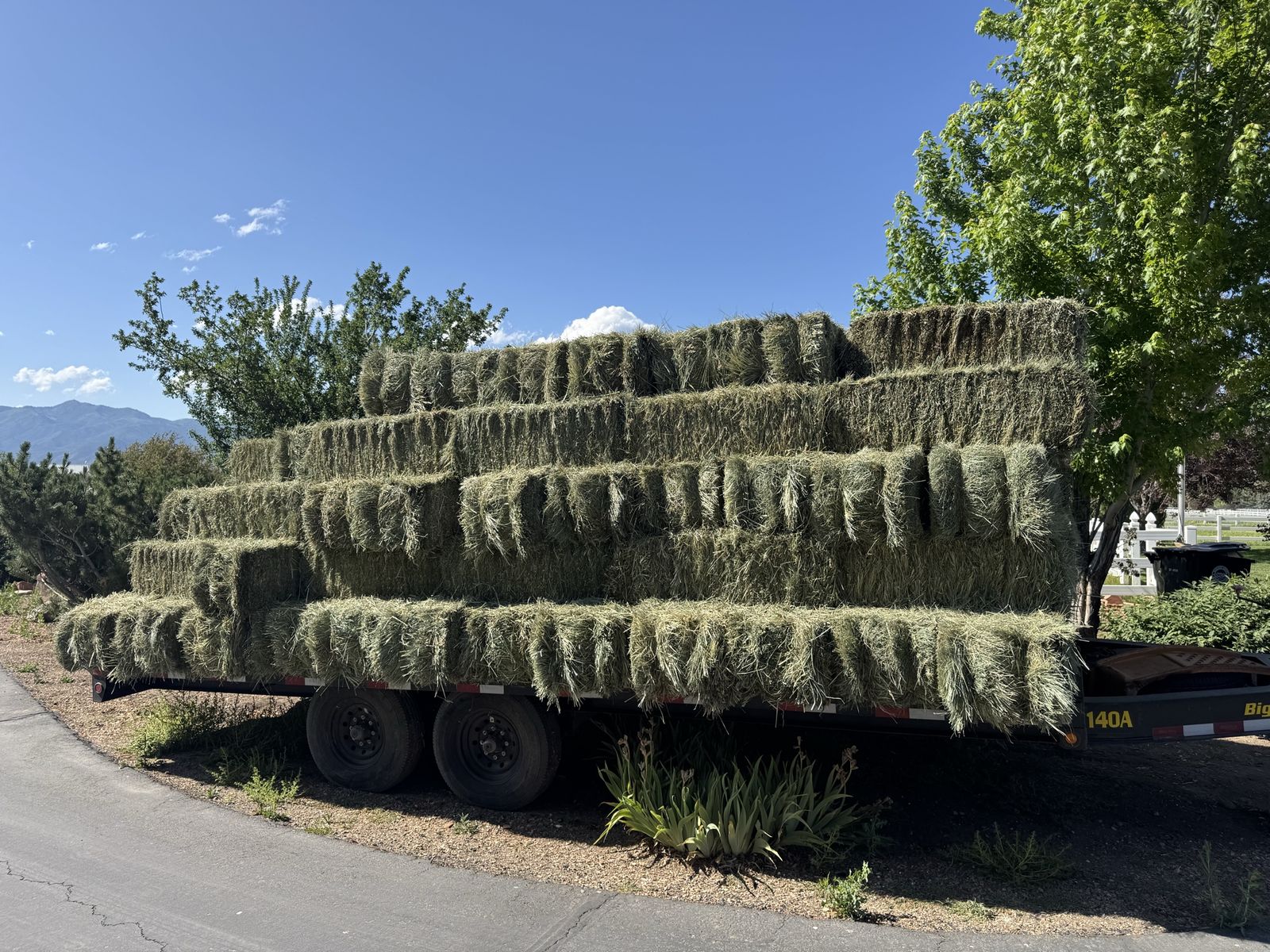 60 lb Alfalfa Hay Bales - 21 Bale Bundles