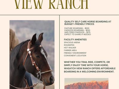 Paddocks for Rent