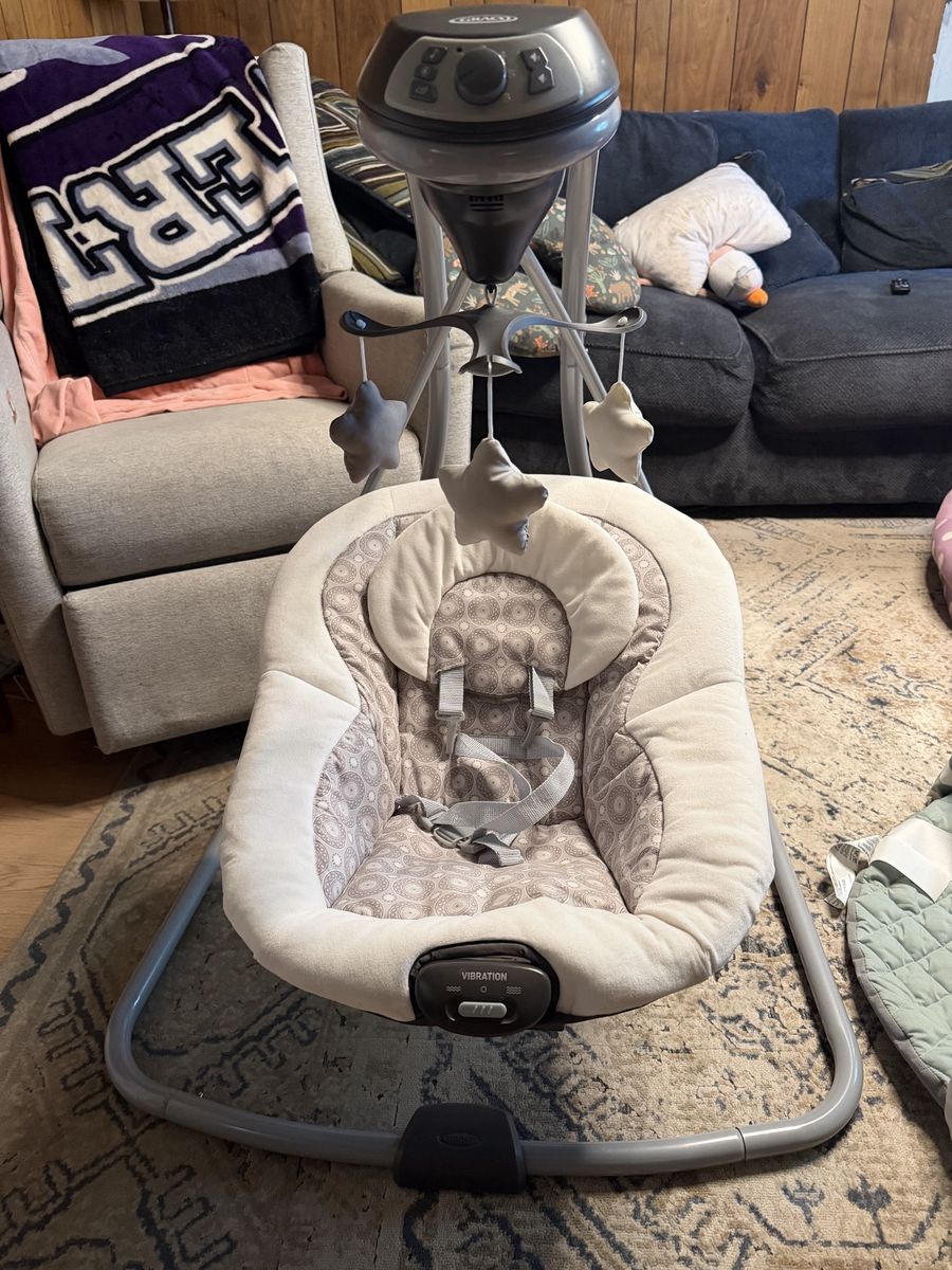 Graco Baby Swing
