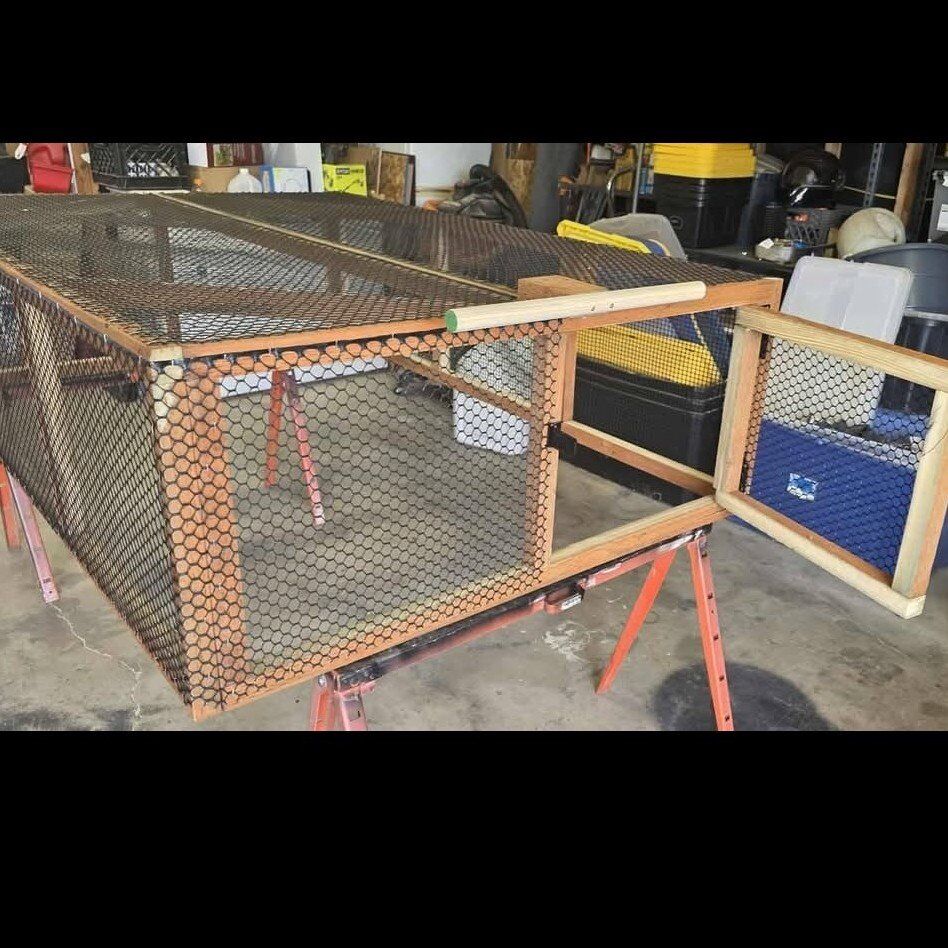 grow out pen ducks/chickens