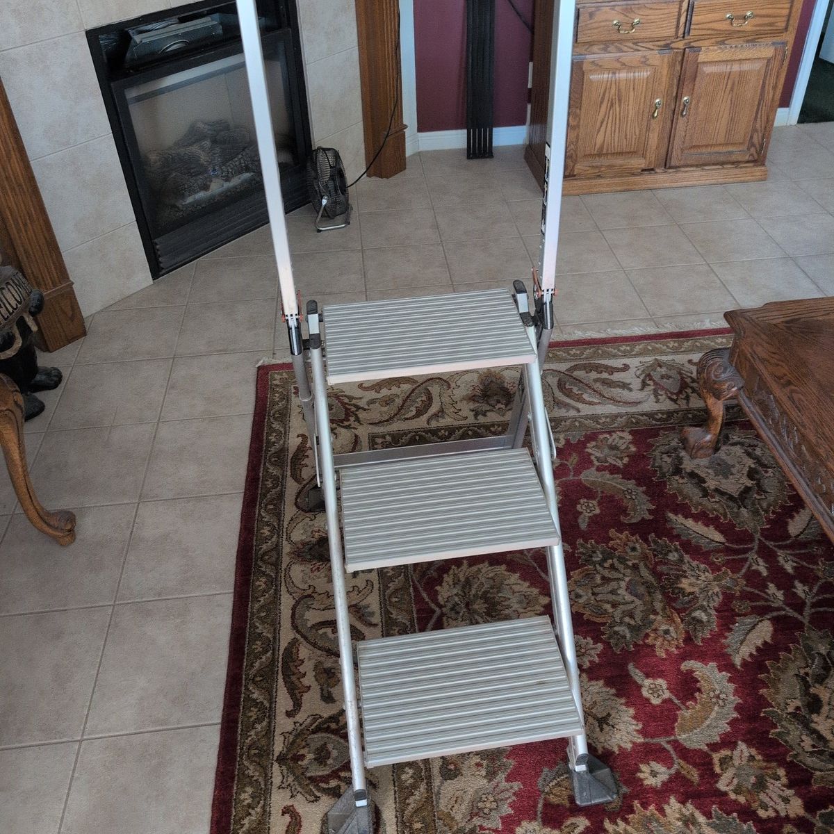 Little Giant Step Ladder