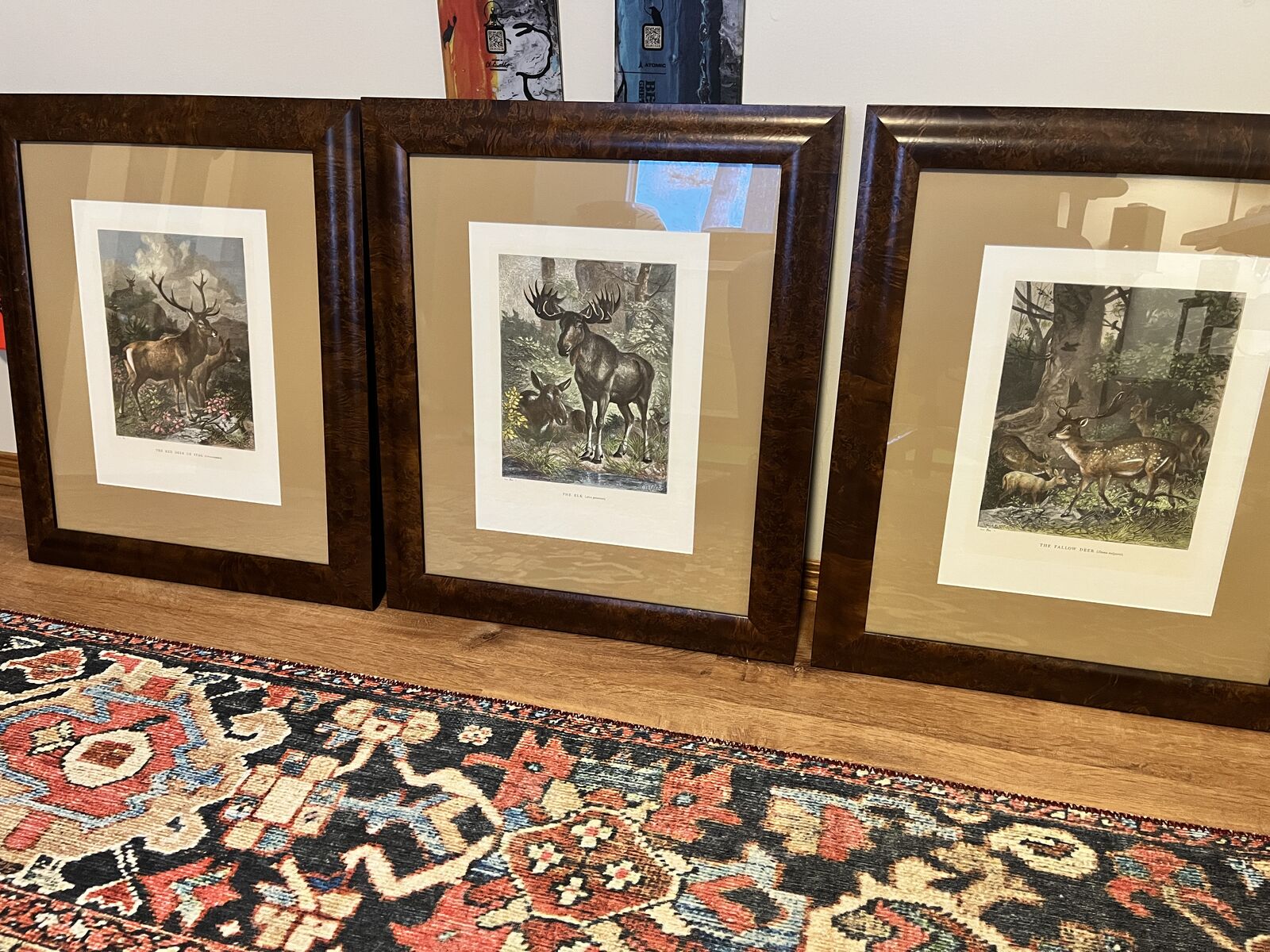 Three wildlife framed glass photos