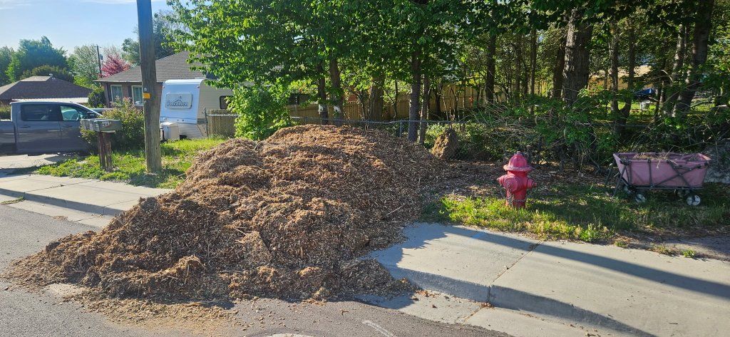 free wood chips