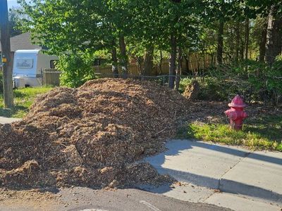 free wood chips
