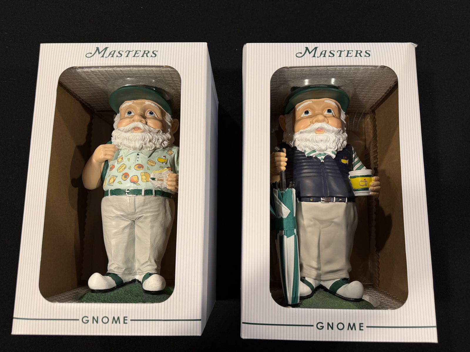 Masters Gnomes