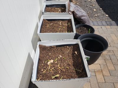 3 Large Plastic Planter Boxes