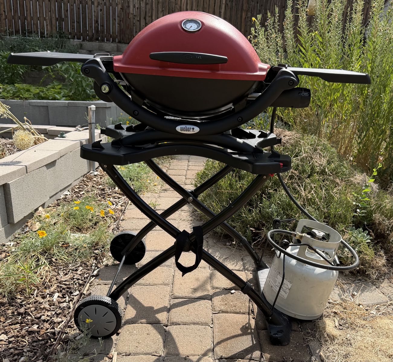 Q 1200 1-Burner Portable Tabletop Propane Gas Grill with stand and propane tank