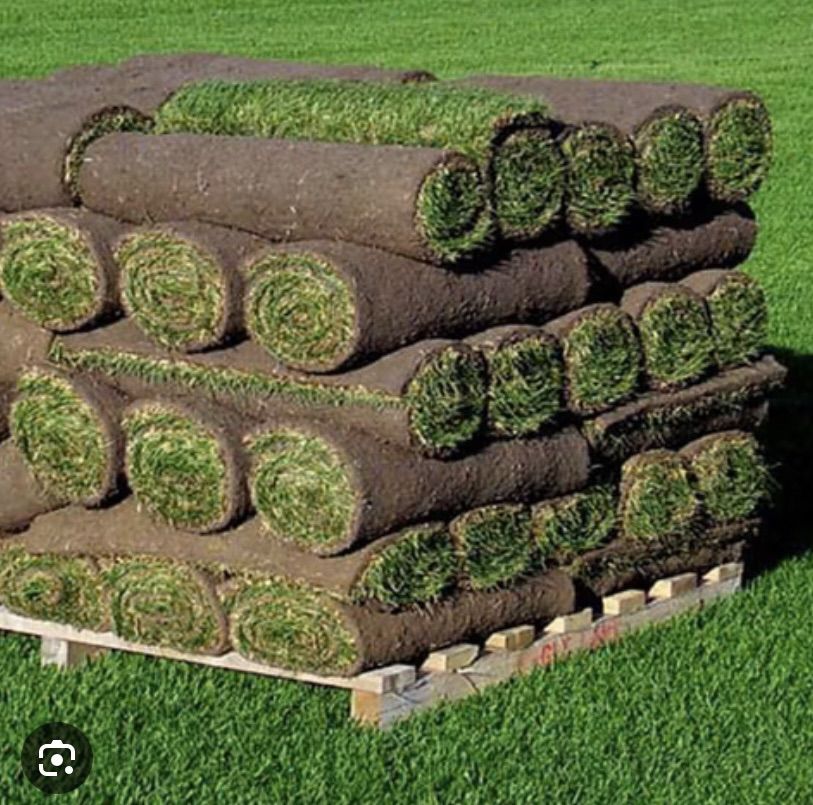 Beautiful Sod For Sale