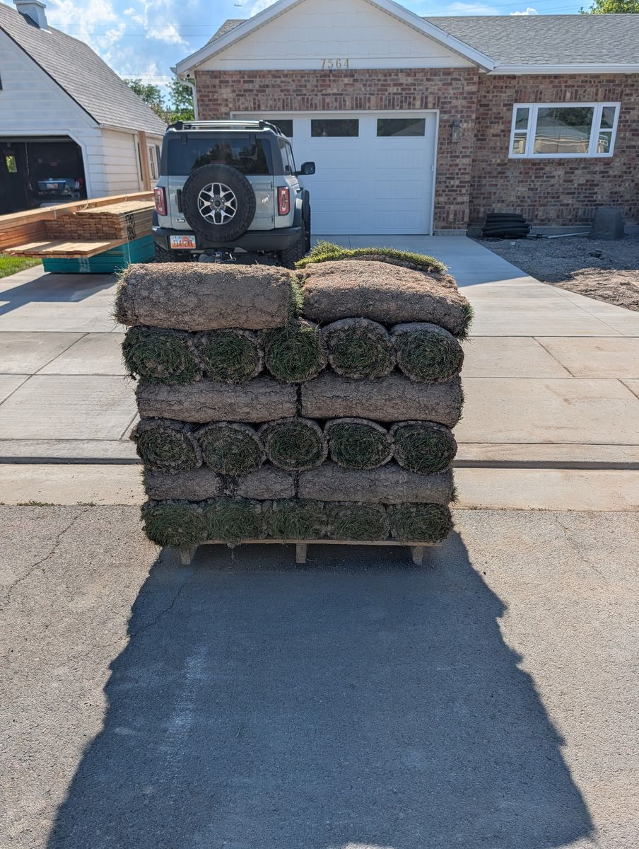 BioGrass Turf Sod - One Pallet, Brand New for Lawn Installation