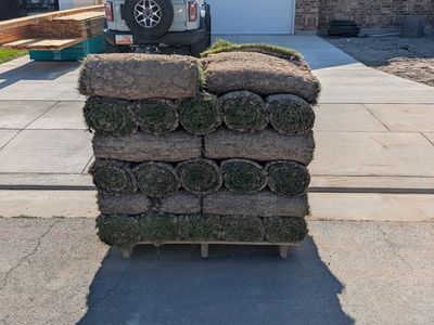 BioGrass Turf Sod - One Pallet, Brand New for Lawn Installation