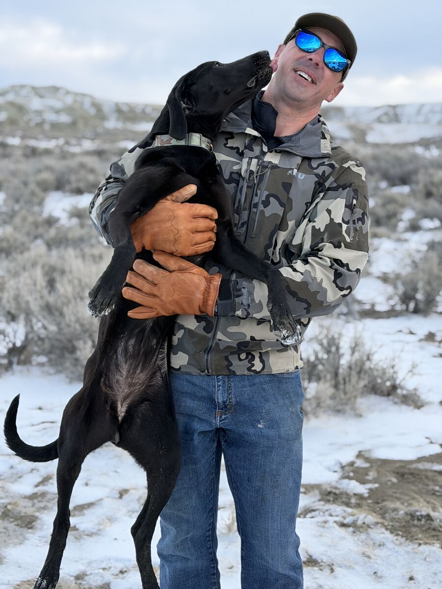Professionally Trained Shed Antler  Dog