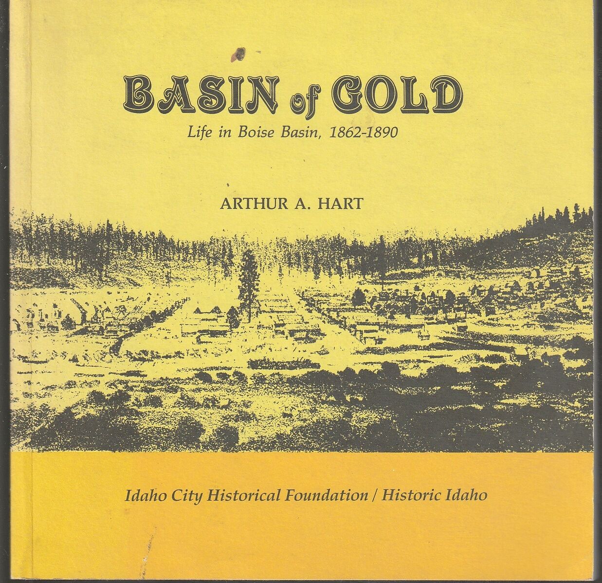 Basin of Gold: Life in Boise Basin, 1862-1890