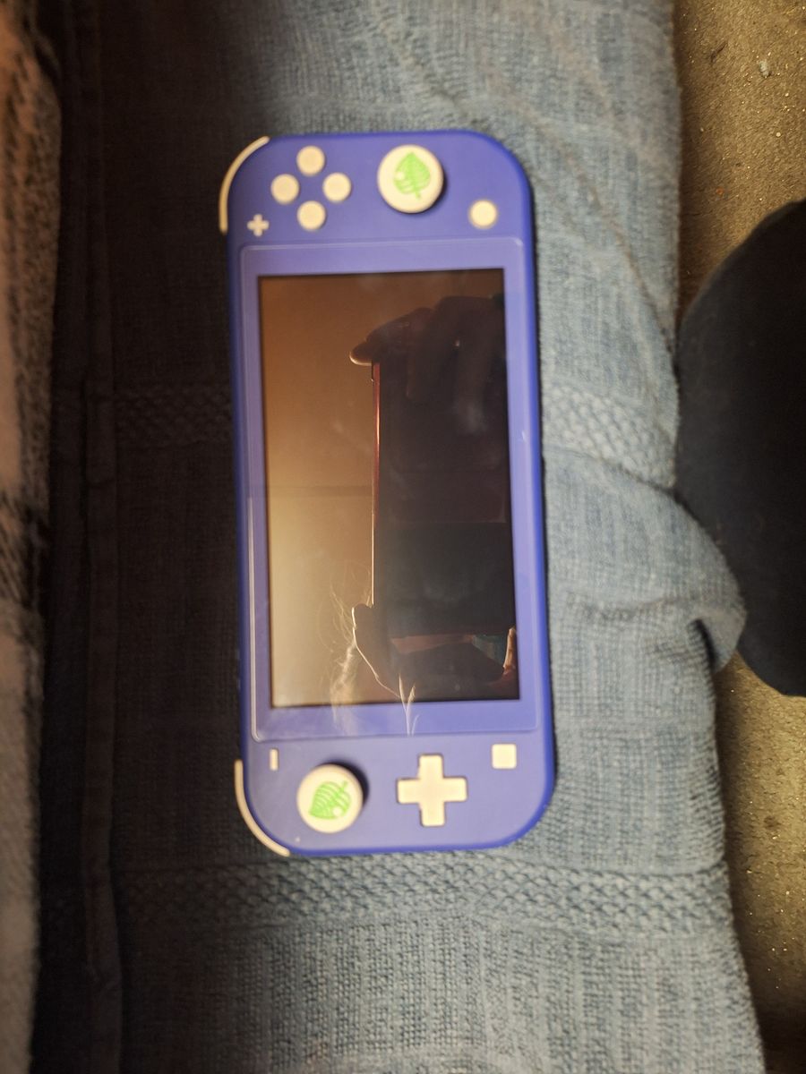 2 Nintendo Switch Lites