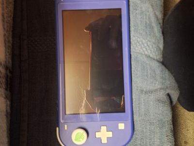 2 Nintendo Switch Lites