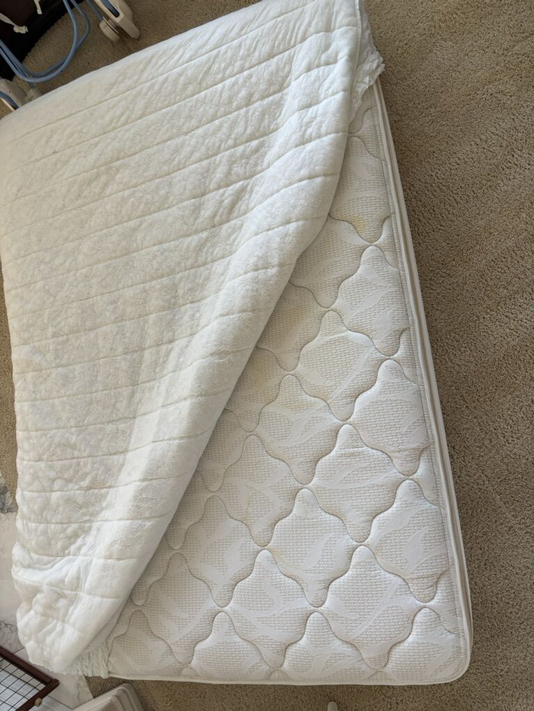 Free Full-Sized Mattress