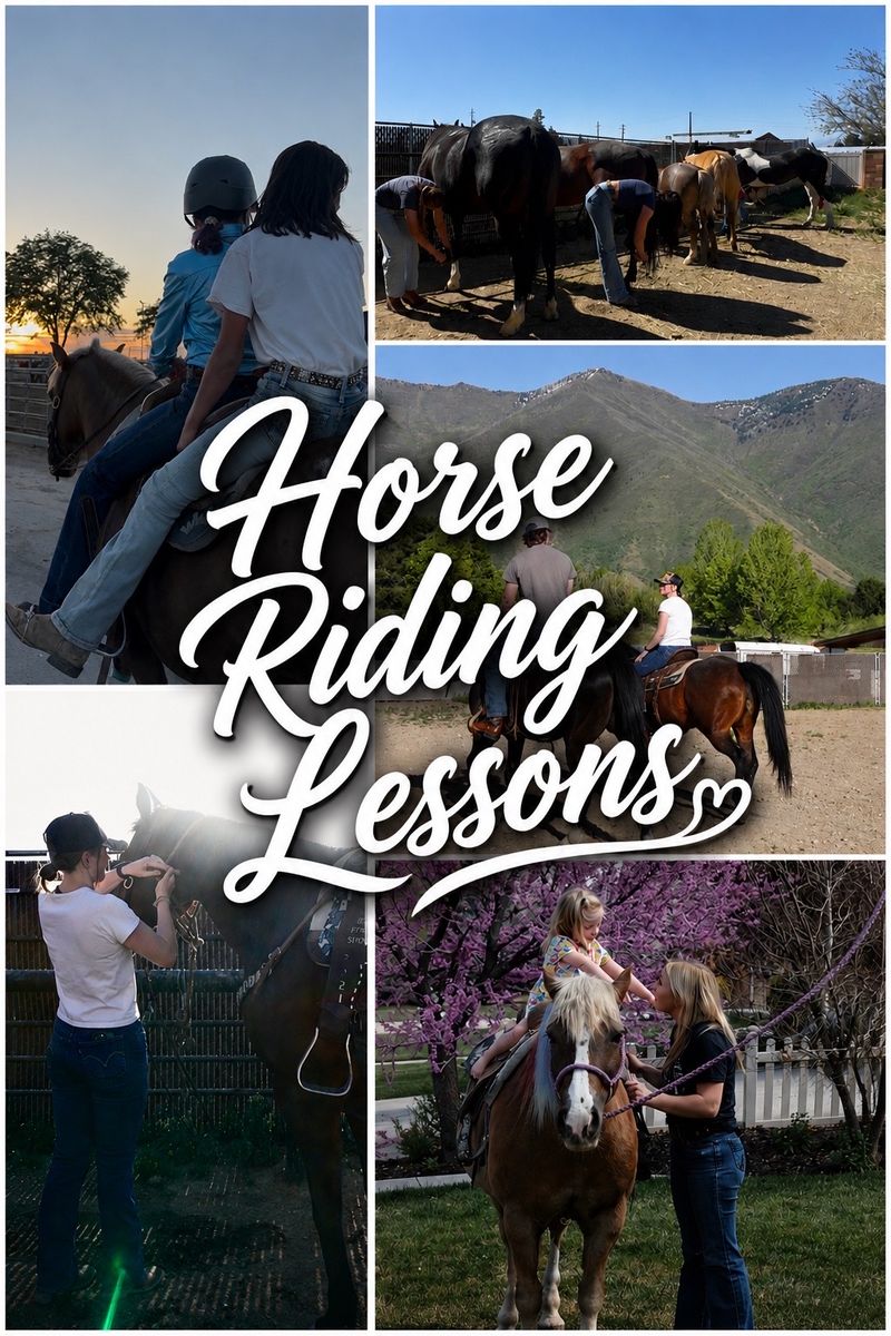 Horse Riding Lessons!