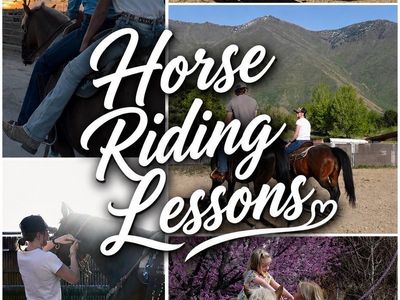 Horse Riding Lessons!