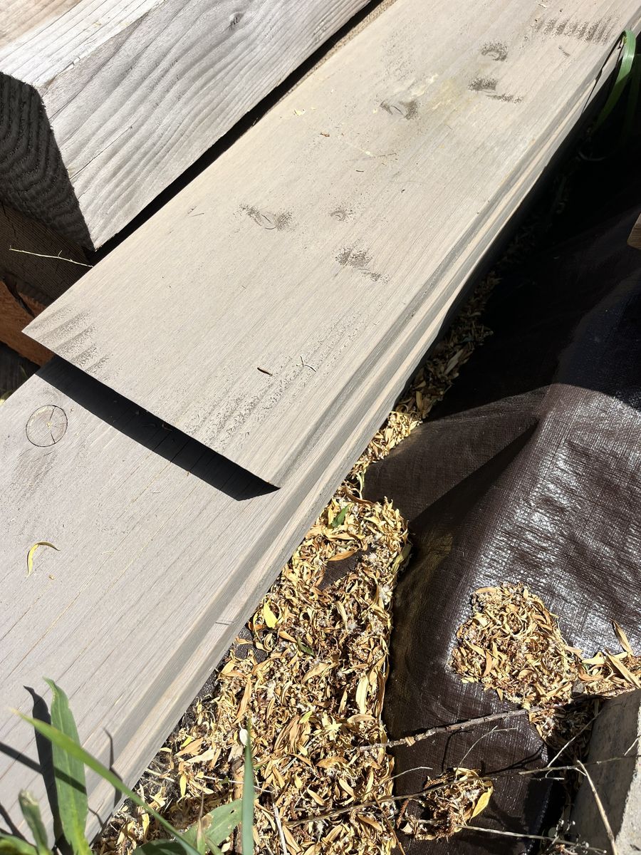 Hemlock 2 x 10