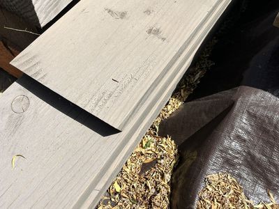 Hemlock 2 x 10