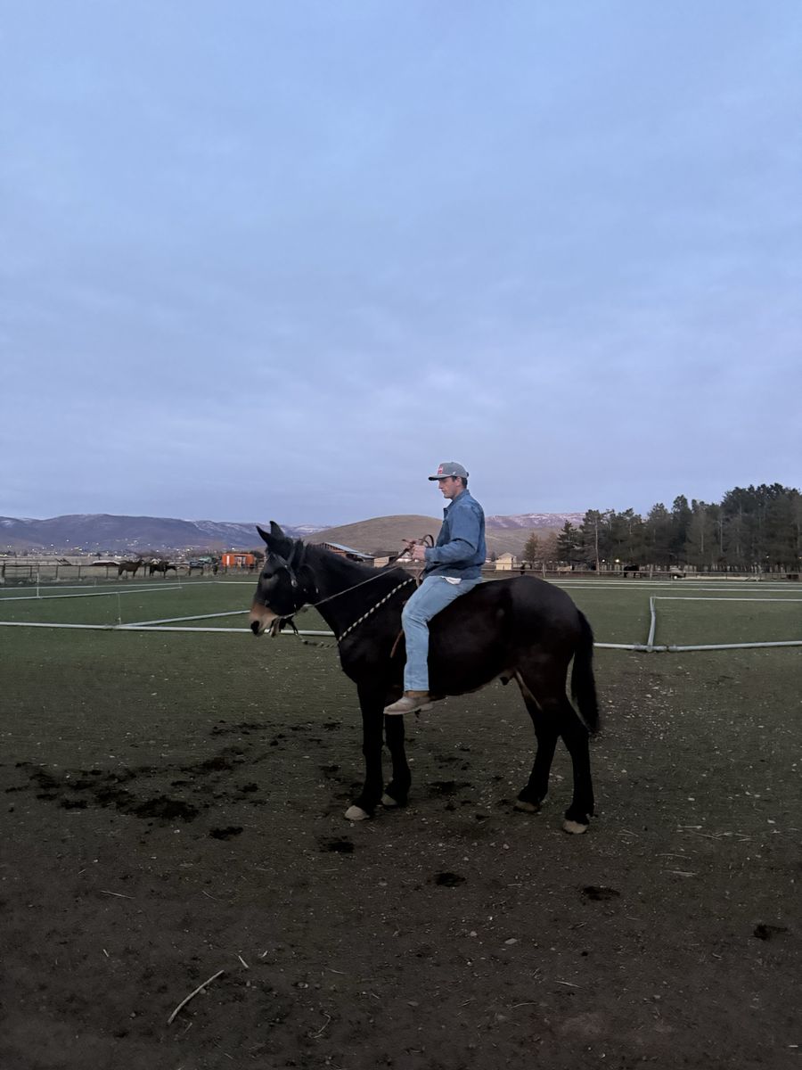 Kid Broke John Mule - Ride and Drive