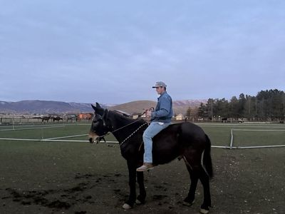 Kid Broke John Mule - Ride and Drive
