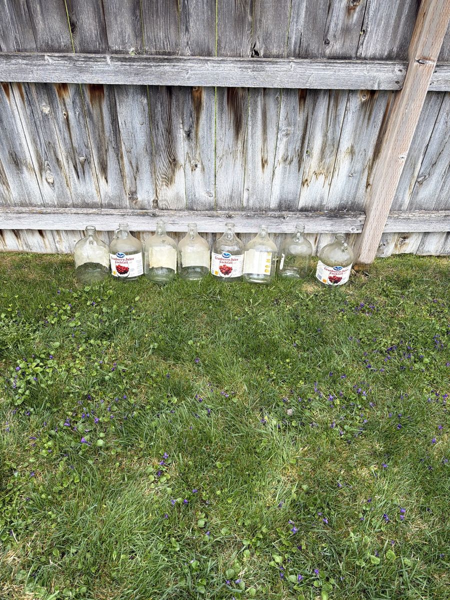 1 Gallon Glass Bottles