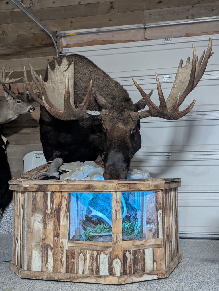 Custom Taxidermy Pedestals