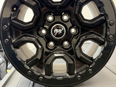 Ford Bronco Saskwatch wheels