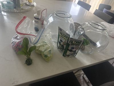 Complete Fish Bowl Kit: 2 Glass Bowls, Algae Wafers, Decor, Water Conditioner & Net
