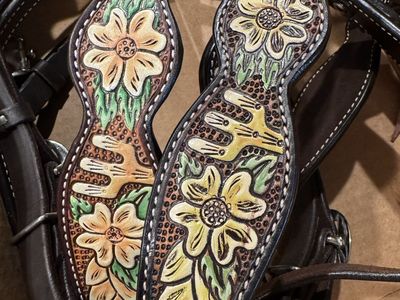 In Search Of Professional Tack/leather Painter