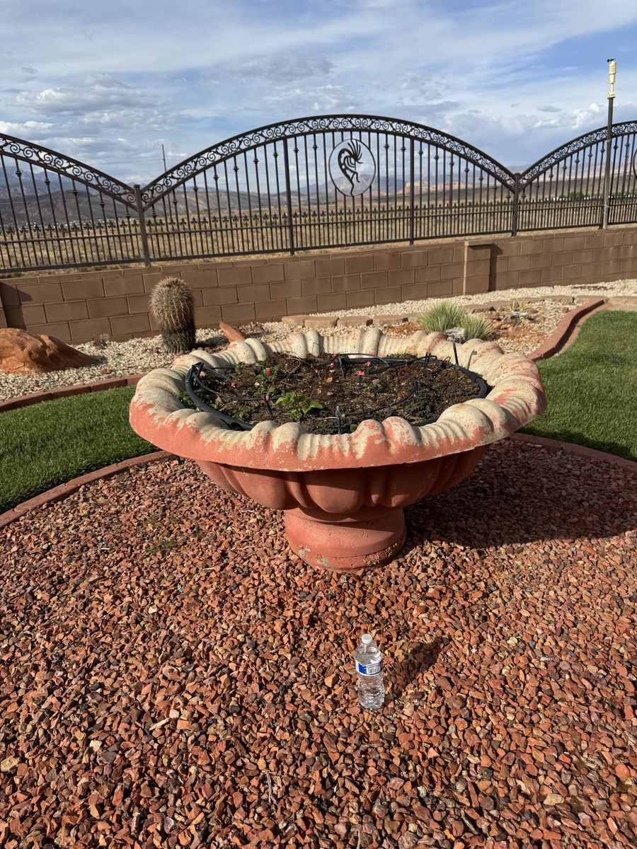 FREE - XXL Terra Cotta Decorative Planter