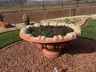 FREE - XXL Terra Cotta Decorative Planter