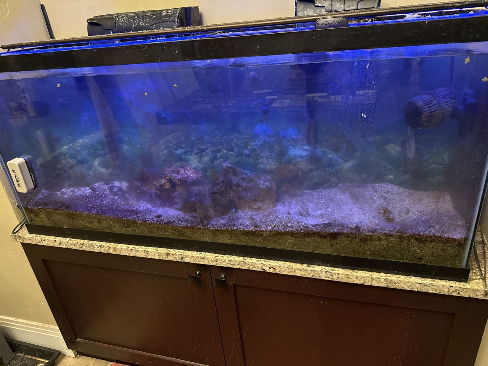 Salt Water Aquarium For Sale