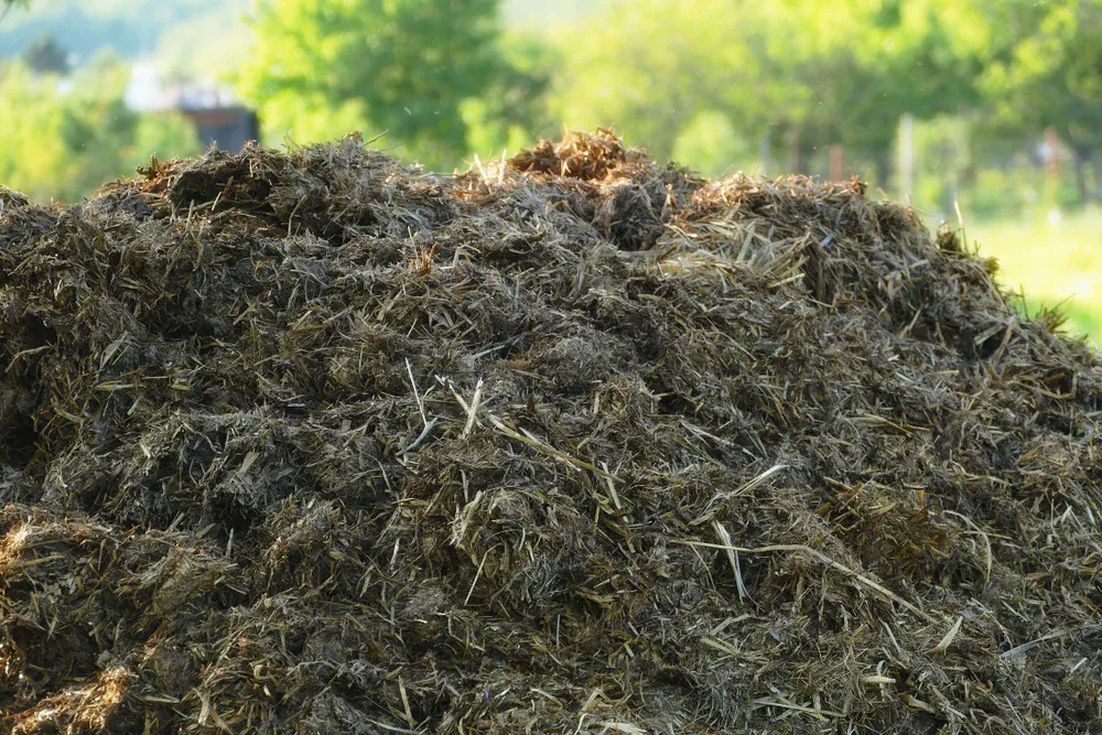 Organic Cow Manure – Garden Fertilizer – Loaded with Tractor