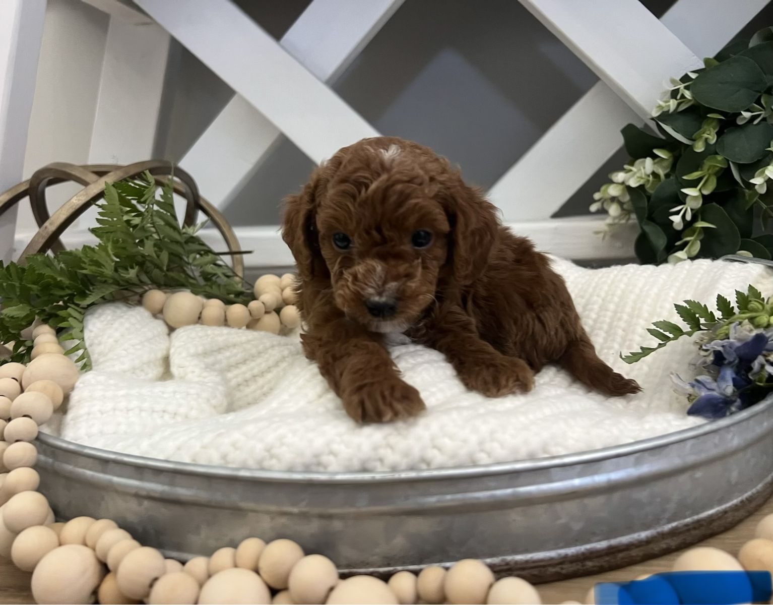 Main image 4